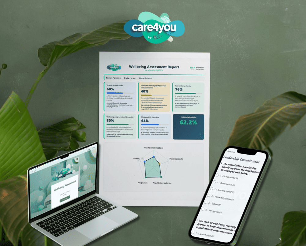 FlyIT wellbeing riport dashboard